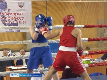 В Великом Новгороде проходит Первенство Северо-Западного федерального округа по боксу