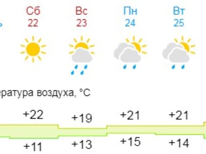 Новгородцам рассказали, какой будет погода на предстоящих выходных