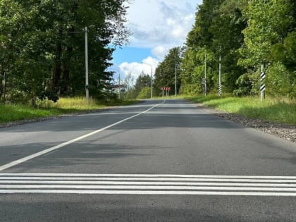 На автодороге в Новгородском районе появились шумовые полосы