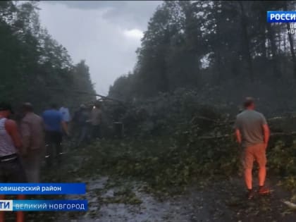 Грозовой фронт, прошедший над западными районами Новгородской области, принес немало хлопот