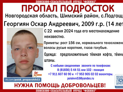 В Великом Новгороде пропал 17-летний подросток