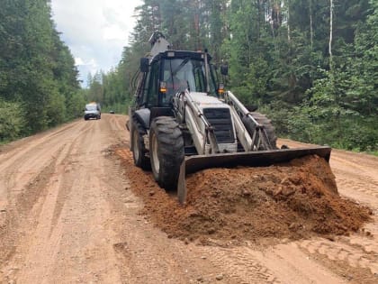 В Новгородской области восстановят покрытие на 14 социально значимых дорогах