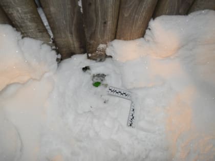 Боровичские полицейские задержали «закладчика» наркотиков