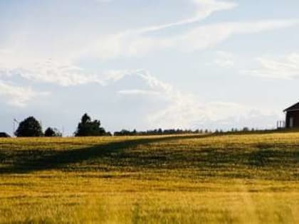 УМКА поможет классифицировать объекты недвижимости в Новгородской области