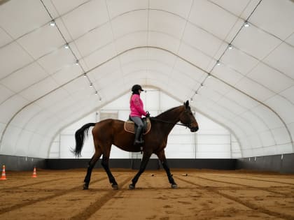 Иппотерапию предлагают включить в перечень услуг для реабилитации инвалидов