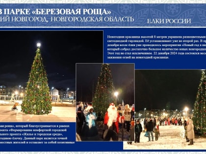 Ёлочка из новгородской «Берёзовой рощи» может выйти на всероссийский уровень