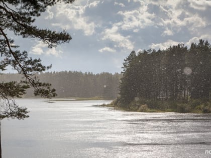 Кратковременные дожди ожидаются в Новгородской области в понедельник