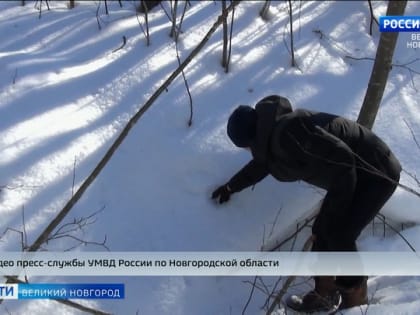 Житель Санкт-Петербурга обвиняется в преступлениях связанных со сбытом наркотиков