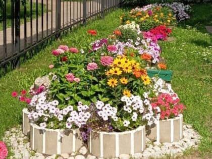 В Великом Новгороде выбрали самые красивые дворы, клумбы и балконы 2024 года