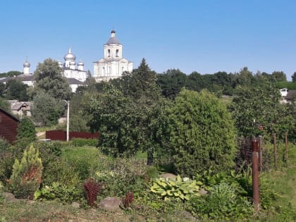 Продлевать автобусный маршрут 1А до Хутыни не планировали