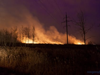 В Новгородской области установили особый противопожарный режим