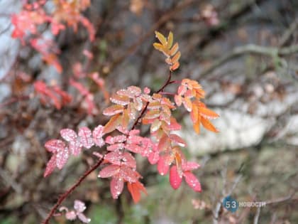 Синоптик сообщил важную информацию о погоде для жителей СЗФО
