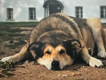 В Великом Новгороде открылась студенческая фотовыставка «Красота вокруг»