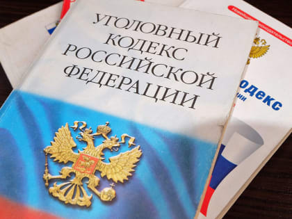 Обвинение по 2 статьям предъявили задержанному по делу об убийстве ребенка под Новгородом