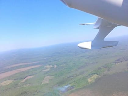 В Новгородской области потушили четыре лесных пожара