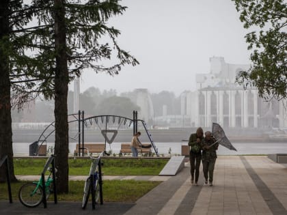 Сильные дожди и порывистый ветер ожидаются в Новгородской области