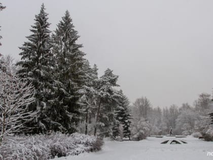 В ближайшее время новгородцев ожидают морозные ночи