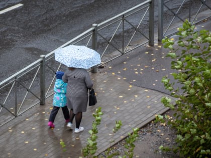 Небольшой дождь снова ожидается в Новгородской области в субботу