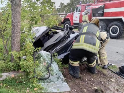 В Малой Вишере автомобиль врезался в дерево