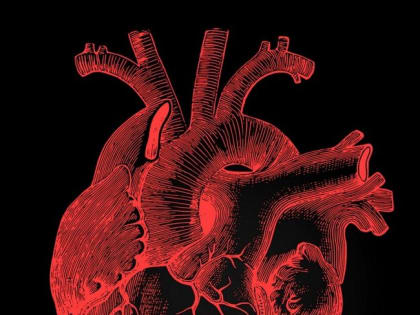 От всего сердца