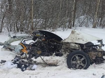 Два человека разбились в ДТП в Шимском районе Новгородской области