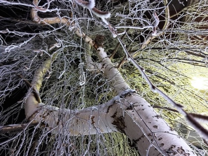 На смену аномальным морозам в Новгородскую область вновь пришли снегопады