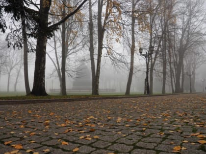 Неделя в сети: открытие/закрытие Колмовского моста и «молочный» туман