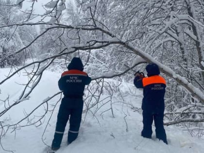 В семи районах области без электричества находятся 2714 домов