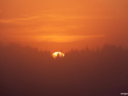 В последние дни лета новгородцев ждет теплая погода и кратковременные дожди