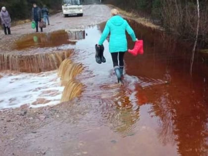 В Новгородском районе временно ограничат движение на дороге Бронница – Частова