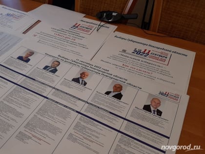 Явка на выборах губернатора Новгородской области составила почти 33%