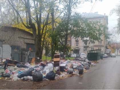 Депутат от «Единой России» разбирается со свалкой на Большой Конюшенной