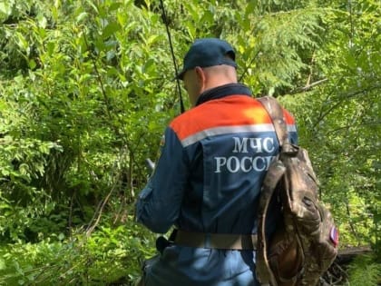 Обнаружено тело потерявшегося в Любытинском районе пенсионера