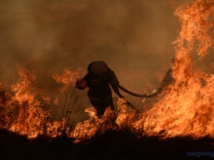 Завтра в Новгородской области ожидается пятый класс пожароопасности