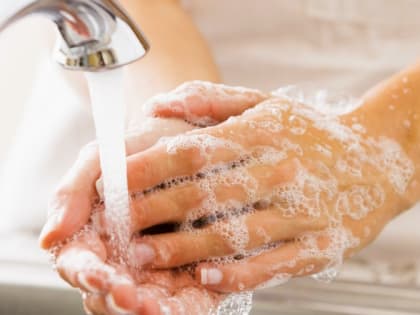 Не бойтесь «зубастых»