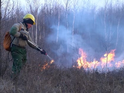 В МЧС обрисовали нынешнюю ситуацию с возгоранием сухой растительности в регионе