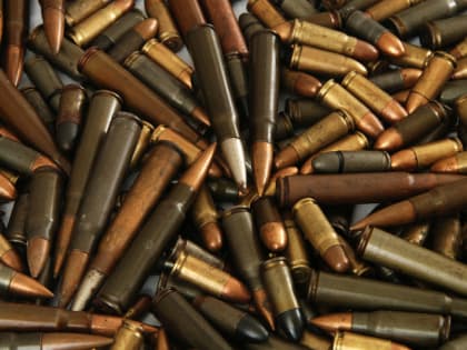 В Великом Новгороде осудили поисковика, который хранил мины, гранаты, патроны и оружие