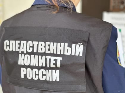 В Великом Новгороде проводят проверку по сообщению об избиении мальчиков