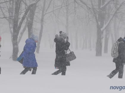 В Новгородской области прогнозируют снегопады и сильный ветер