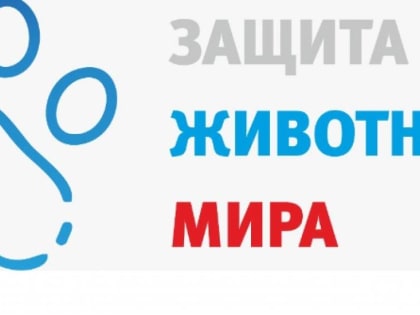 Зверское убийство собаки в Новгородской области возмутило зоозащитников-сторонников "Единой России"