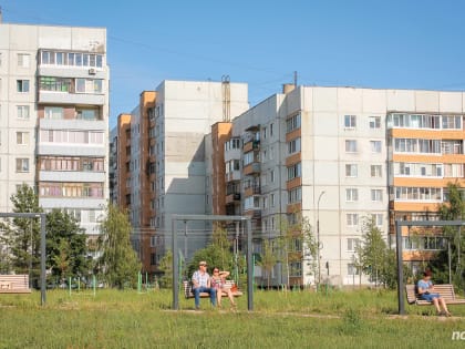 Теплая погода ожидает новгородцев в ближайшие дни