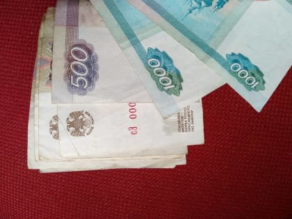 У жителя Боровичского района похитили из сумки 70 тысяч рублей