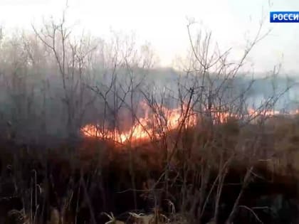 В деревне Пикалиха Пестовского района из-за пала сухой травы огнем полностью уничтожено десять домов