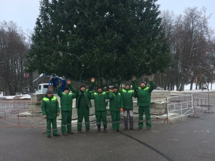 На площади Победы-Софийской в Великом Новгороде установили ёлку
