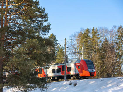 В РЖД сообщили новую информацию о дополнительных «Ласточках» в Санкт-Петербург