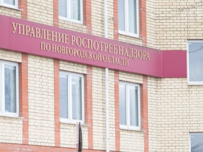 От укусов клещей пострадали уже свыше 800 новгородцев