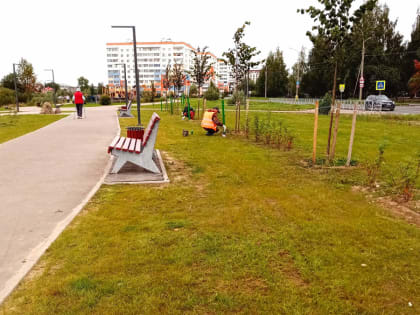 202 территории благоустроили в Новгородской области за 5 лет