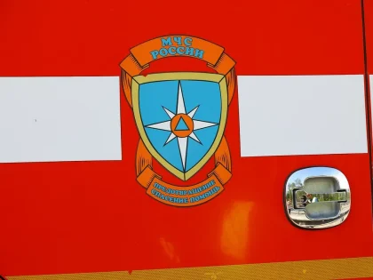 В Новгородской области за сутки произошёл один пожар