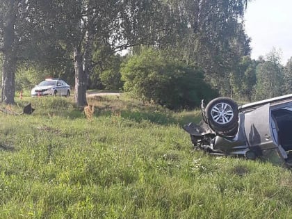 В Новгородской области в ДТП пострадали трое подростков