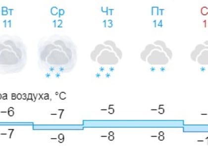 Погода для жителей Великого Новгорода, Боровичей и Старой Руссы с 10 по 16 февраля